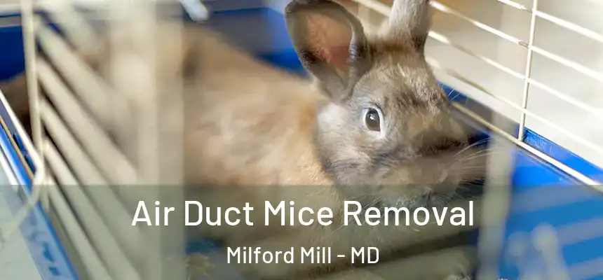  Air Duct Mice Removal Milford Mill - MD