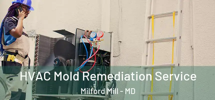 HVAC Mold Remediation Service Milford Mill - MD