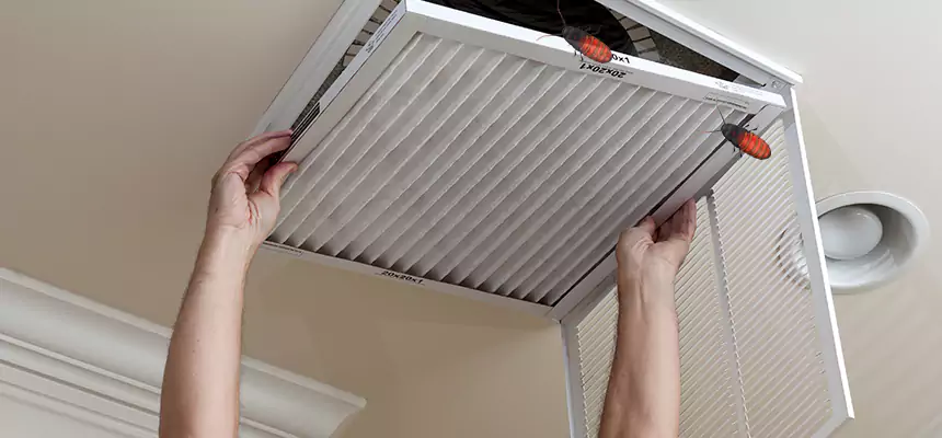 Preventive Cockroach-Proofing for Ducts in Milford Mill