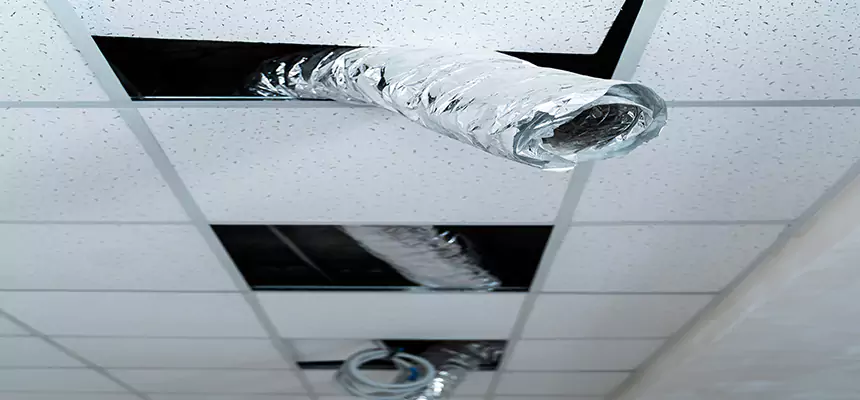 Our Air Duct Pet Hair Removal Services in Milford Mill, MD