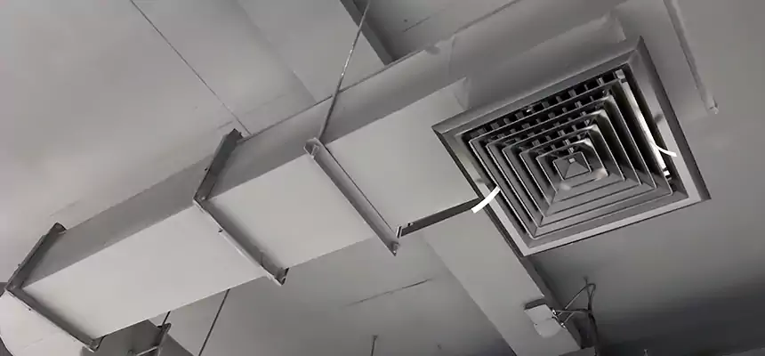 Our Pest Removal From Ducts Services in Milford Mill, MD