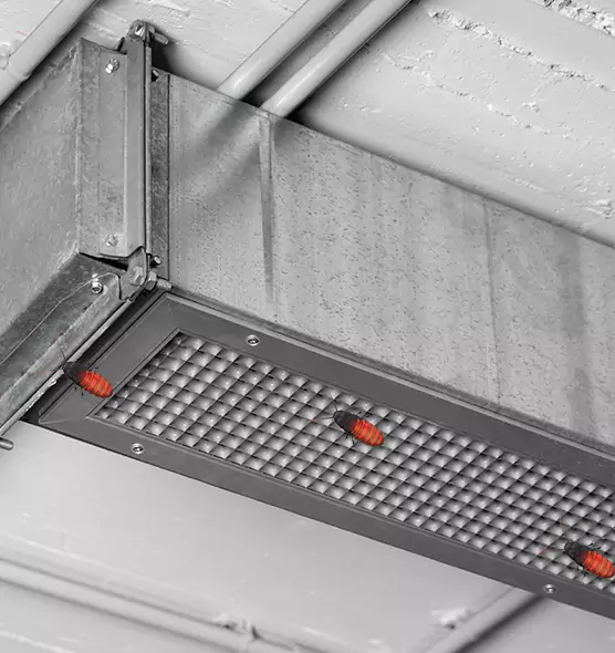 Affordable Insect Removal from Air Ducts in Milford Mill, MD