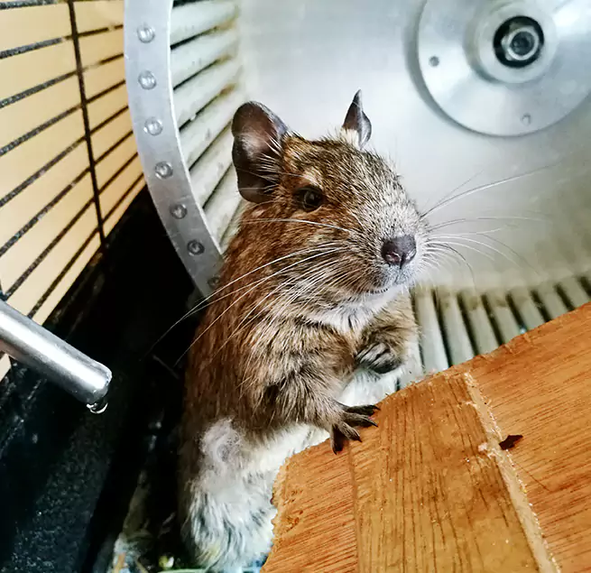 Why Homeowners & Businesses Trust Us Milford Mill, MD